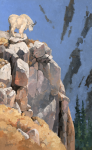 Outcrop